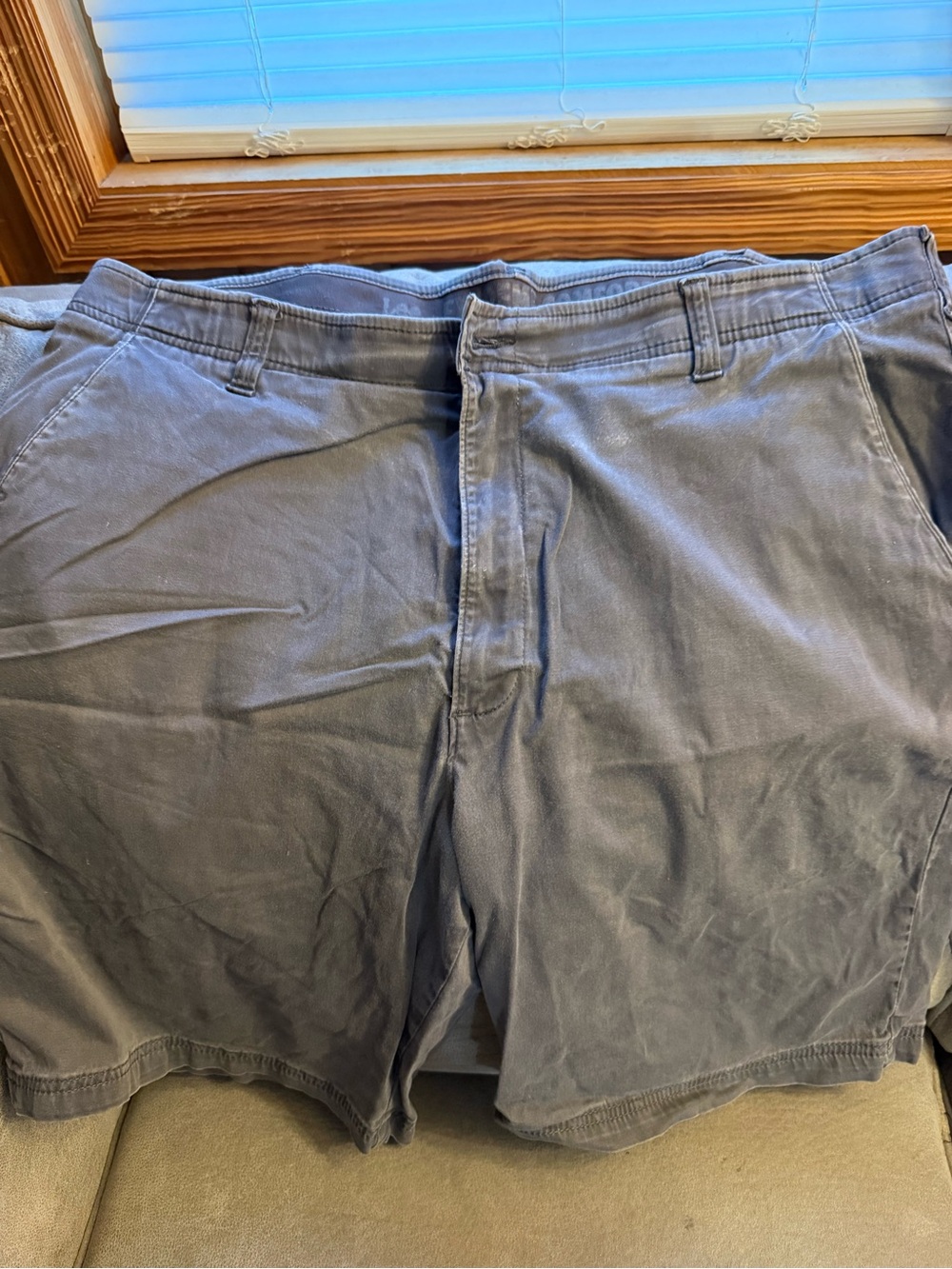 Lee Men's Flat Front Shorts